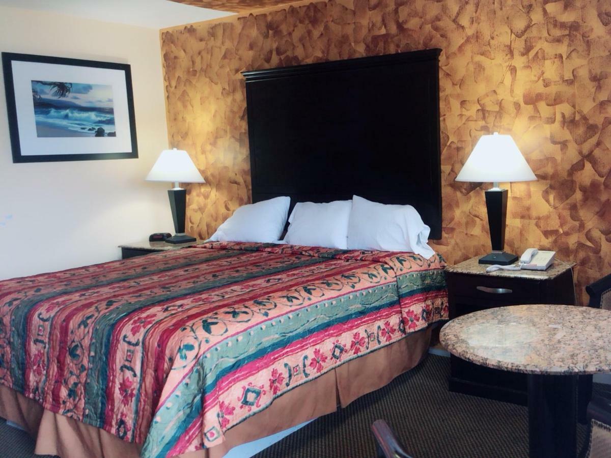 גאלווי Sunflower Inn מראה חיצוני תמונה
