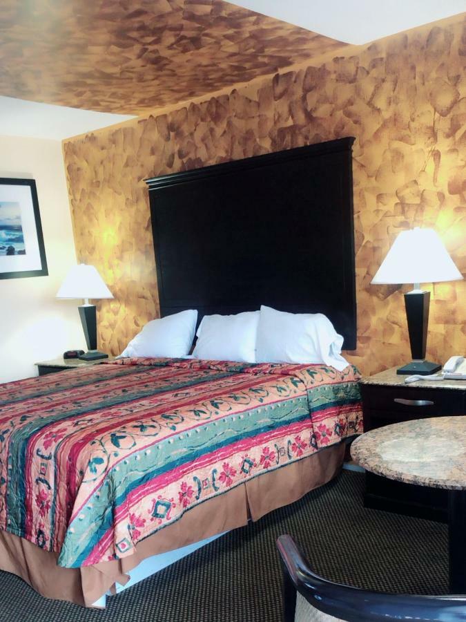 גאלווי Sunflower Inn מראה חיצוני תמונה